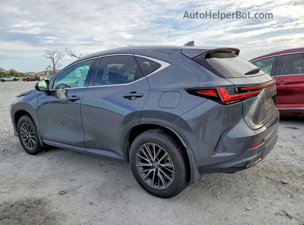 2T2GDCAZ6RC007308 2024 LEXUS NX Gray Հետևի ձախ