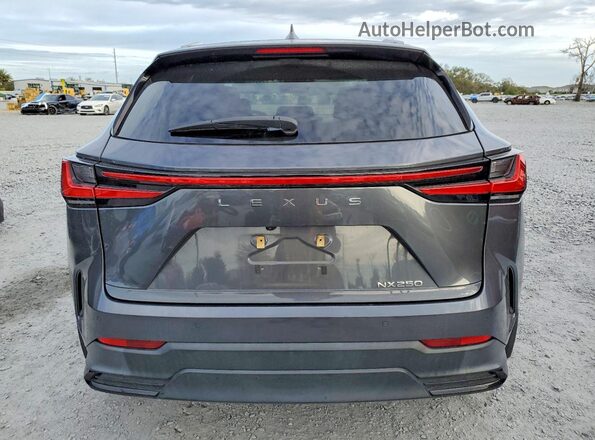 2T2GDCAZ6RC007308 2024 LEXUS NX Gray Հետևի տեսք