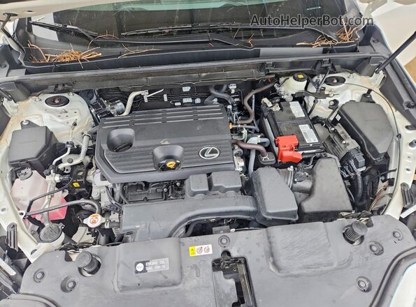 2T2GDCAZXNC001442 2022 LEXUS NX White Вид підкапотного простору