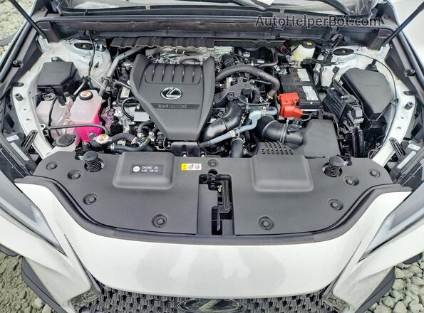 2T2GGCEZ1TC102111 2026 LEXUS NX White Շարժիչի բաժամունքի տեսք