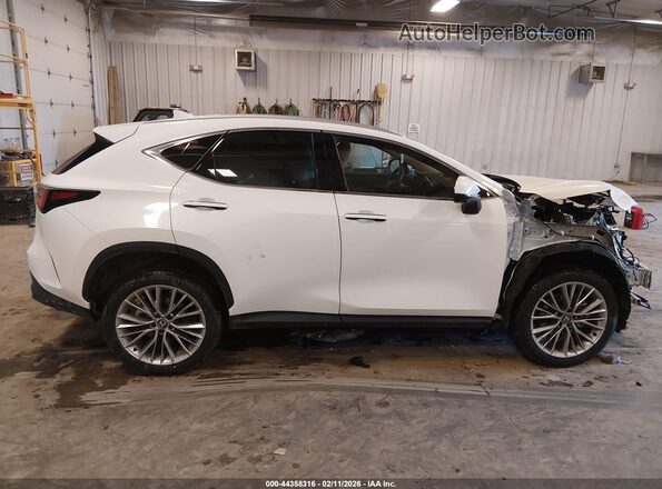 2T2GGCEZ2TC109519 2026 LEXUS NX 350 White Vista interior trasera