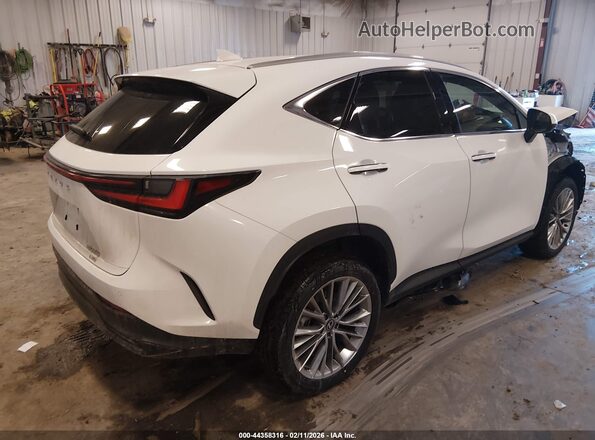 2T2GGCEZ2TC109519 2026 LEXUS NX 350 White Trasero derecho