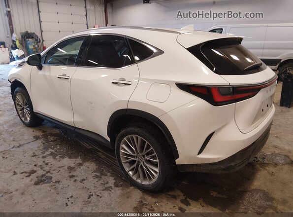 2T2GGCEZ2TC109519 2026 LEXUS NX 350 White Trasero izquierdo