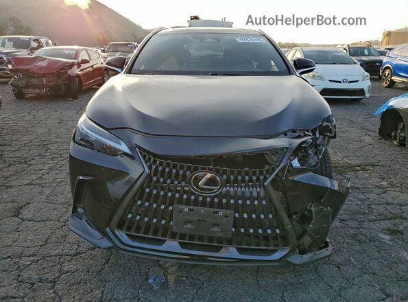 2T2GGCEZ3PC024453 2023 LEXUS NX Black Vista frontal