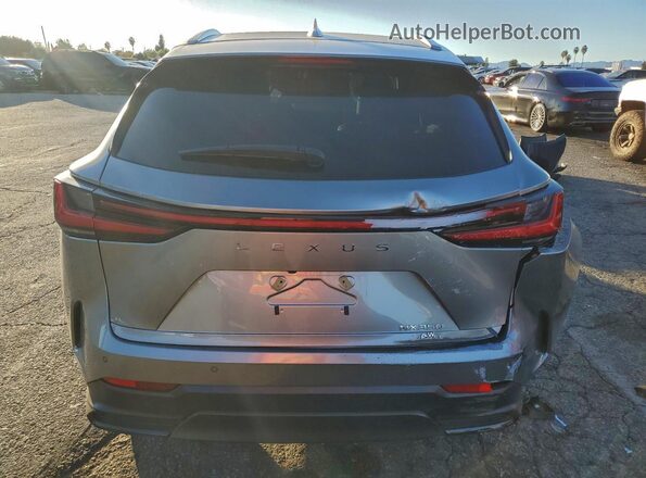2T2GGCEZ3SC062502 2025 LEXUS NX Gray Rear view