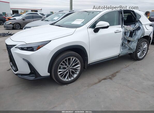 2T2GGCEZ3SC080577 2025 LEXUS NX 350 White წინა მარცხენა ხედი სამი მეოთხედიდან