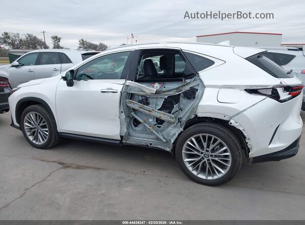 2T2GGCEZ3SC080577 2025 LEXUS NX 350 White წინა ხედი