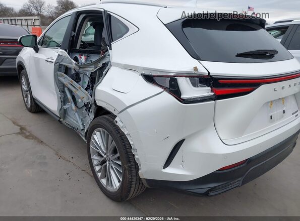 2T2GGCEZ3SC080577 2025 LEXUS NX 350 White 