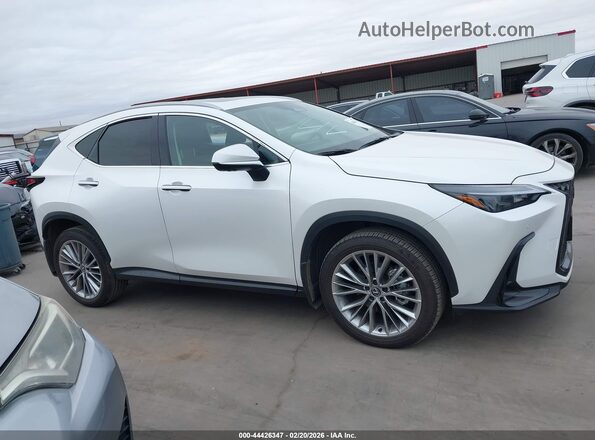 2T2GGCEZ3SC080577 2025 LEXUS NX 350 White უკანა სალონის ხედი