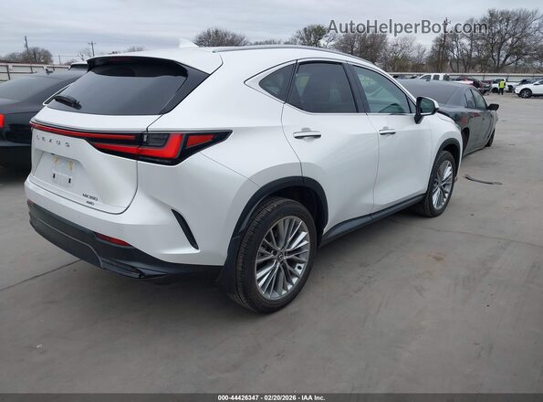 2T2GGCEZ3SC080577 2025 LEXUS NX 350 White უკანა მარჯვენა