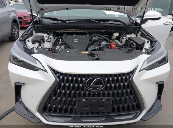 2T2GGCEZ3SC080577 2025 LEXUS NX 350 White უკანა ხედი