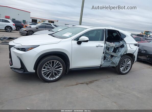 2T2GGCEZ3SC080577 2025 LEXUS NX 350 White სალონის 360-გრადუსიანი ხედი
