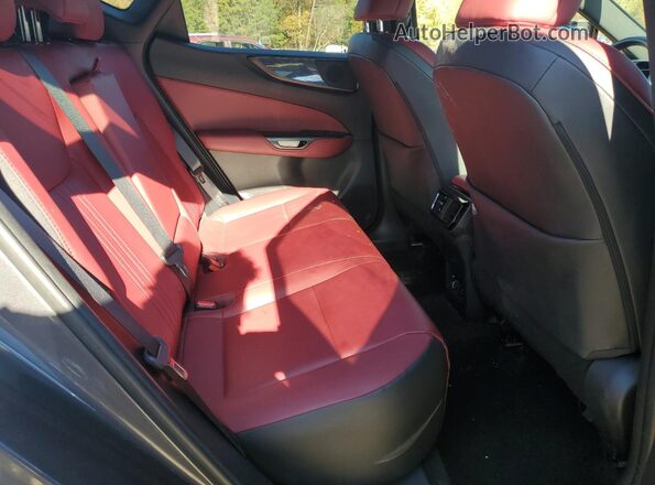 2T2GGCEZ5RC037904 2024 LEXUS NX Gray Widok wnętrza z tyłu