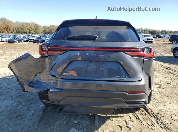 2T2GGCEZ5RC037904 2024 LEXUS NX Gray Widok z tyłu