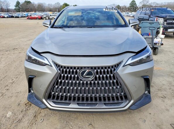 2T2GGCEZ6RC044232 2024 LEXUS NX Gray Vista frontal