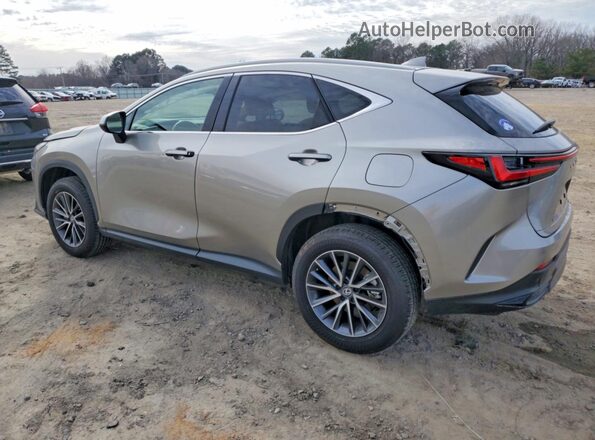 2T2GGCEZ6RC044232 2024 LEXUS NX Gray Trasero izquierdo