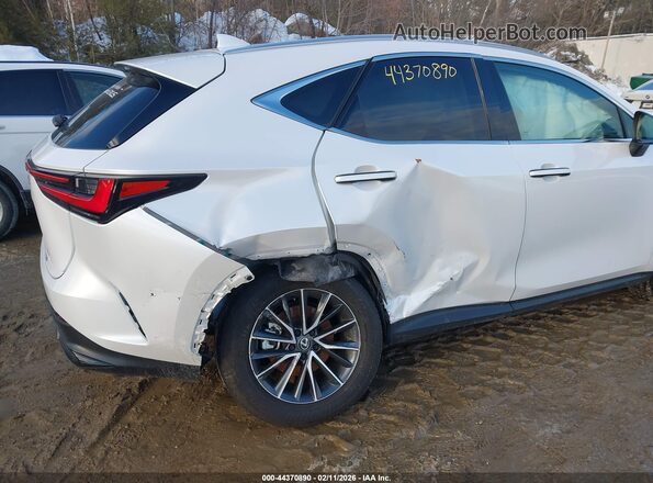 2T2GGCEZ7SC077861 2025 LEXUS NX 350 White წინა ხედი