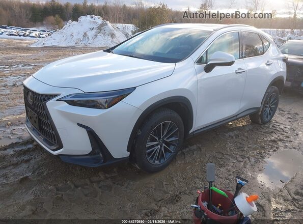 2T2GGCEZ7SC077861 2025 LEXUS NX 350 White წინა მარცხენა ხედი სამი მეოთხედიდან