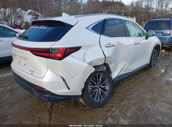 2T2GGCEZ7SC077861 2025 LEXUS NX 350 White უკანა მარჯვენა