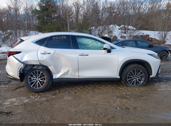 2T2GGCEZ7SC077861 2025 LEXUS NX 350 White უკანა სალონის ხედი