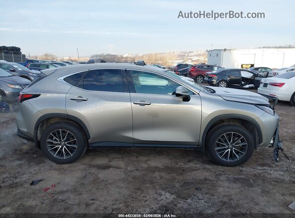 2T2GKCEZ3RC024051 2024 LEXUS NX 350H Beige 360 interior view