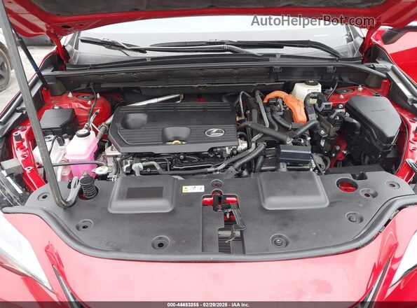 2T2GKCEZ4SC042046 2025 LEXUS NX 350H Red Widok z tyłu