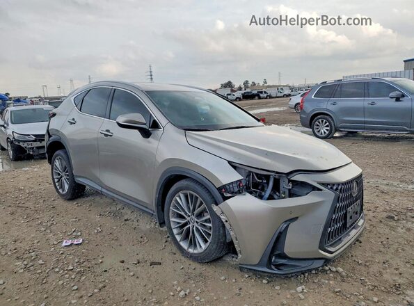 2T2GKCEZ6NC004290 2022 LEXUS NX Серый 