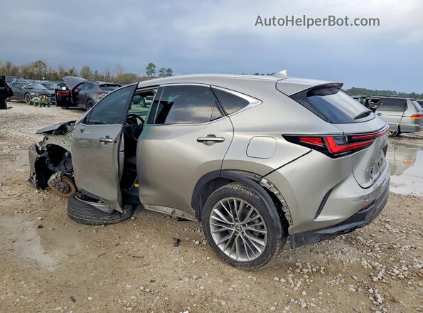 2T2GKCEZ6NC004290 2022 LEXUS NX Серый 