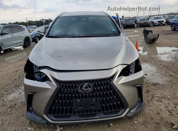 2T2GKCEZ6NC004290 2022 LEXUS NX Серый 