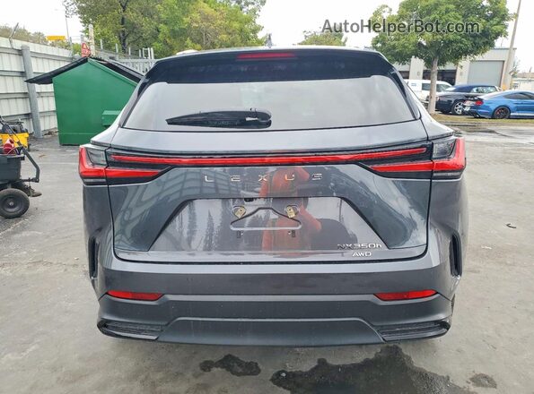 2T2GKCEZXNC004664 2022 LEXUS NX Green Հետևի տեսք