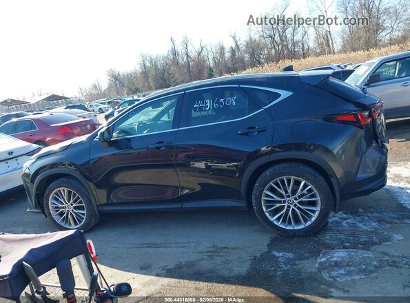 2T2HKCEZ2RC018424 2024 LEXUS NX 350H Black სალონის 360-გრადუსიანი ხედი