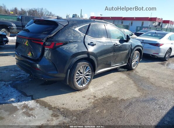 2T2HKCEZ2RC018424 2024 LEXUS NX 350H Black უკანა მარჯვენა