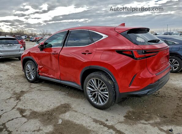 2T2HKCEZ9RC022986 2024 LEXUS NX Red 