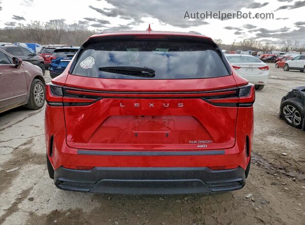 2T2HKCEZ9RC022986 2024 LEXUS NX Red 