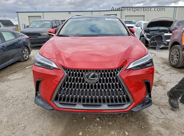 2T2HKCEZ9RC022986 2024 LEXUS NX Red 