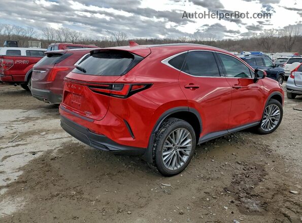 2T2HKCEZ9RC022986 2024 LEXUS NX Red 