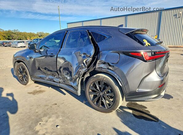 2T2KGCEZ0PC018068 2023 LEXUS NX Gray Задня ліва чверть