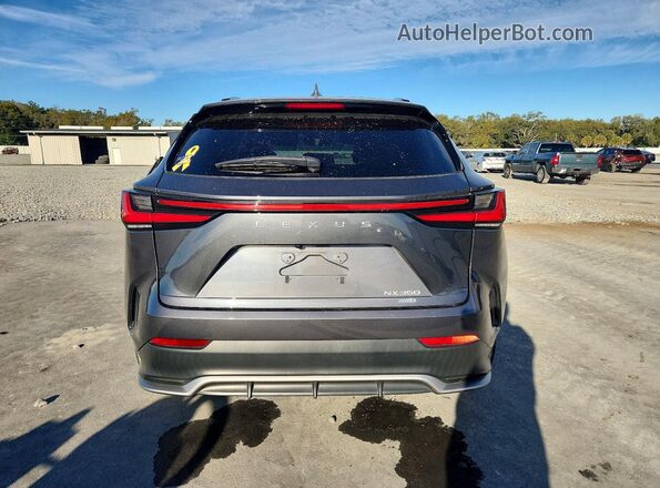 2T2KGCEZ0PC018068 2023 LEXUS NX Gray Вид ззаду