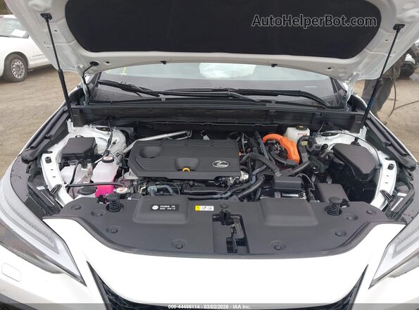 2T2KKCEZ2TC060704 2026 LEXUS NX 350H White უკანა ხედი