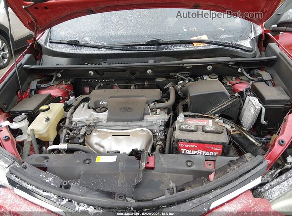 2T3BFREV3GW435603 2016 TOYOTA LE Red Widok z tyłu