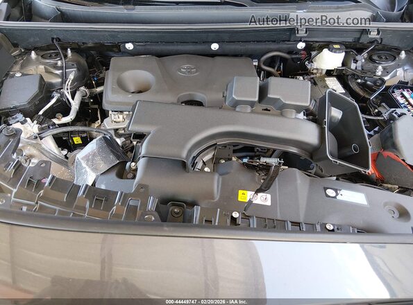 2T3C1RFV0SW430207 2025 TOYOTA LE Серый Вид сзади