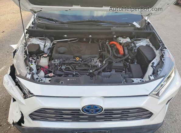 2T3DWRFVXKW010170 2019 TOYOTA LIMITED Белый 
