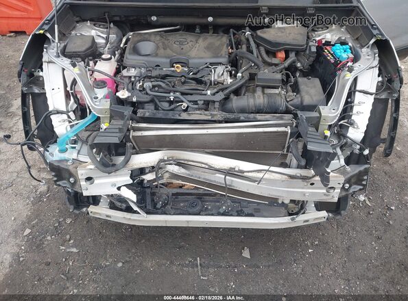 2T3EWRFV0KW045689 2019 TOYOTA RAV4 HYBRID Silver უკანა ხედი
