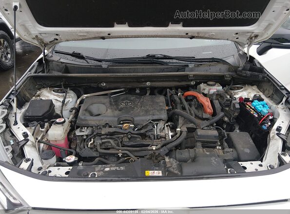 2T3EWRFV9KW040751 2019 TOYOTA RAV4 HYBRID Белый Вид сзади