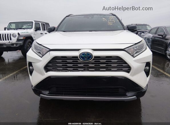 2T3EWRFV9KW040751 2019 TOYOTA RAV4 HYBRID Белый Вид задней части салона