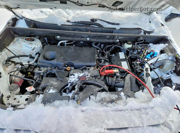2T3G1RFV8KC007832 2019 TOYOTA LE White 