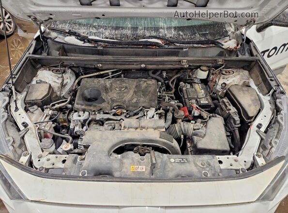 2T3H1RFV0KW004443 2019 TOYOTA LE White 