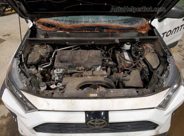 2T3H1RFV8KW004190 2019 TOYOTA LE White 