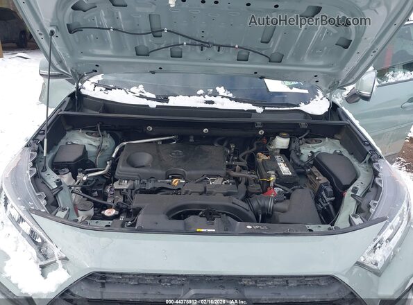 2T3J1RFV1KW004064 2019 TOYOTA RAV4 Gray Vista trasera
