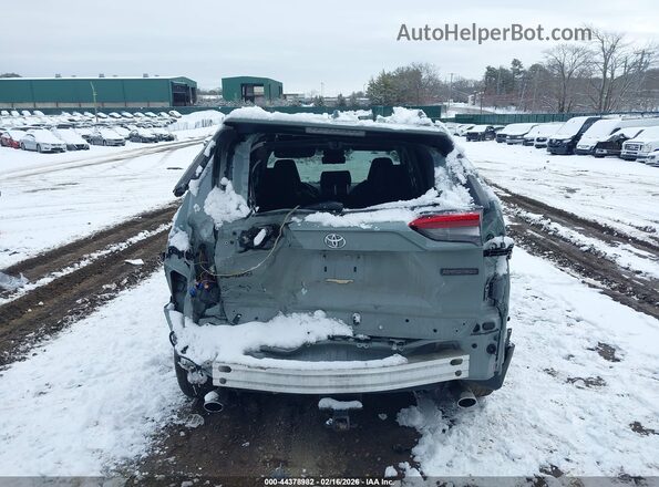 2T3J1RFV1KW004064 2019 TOYOTA RAV4 Gray 